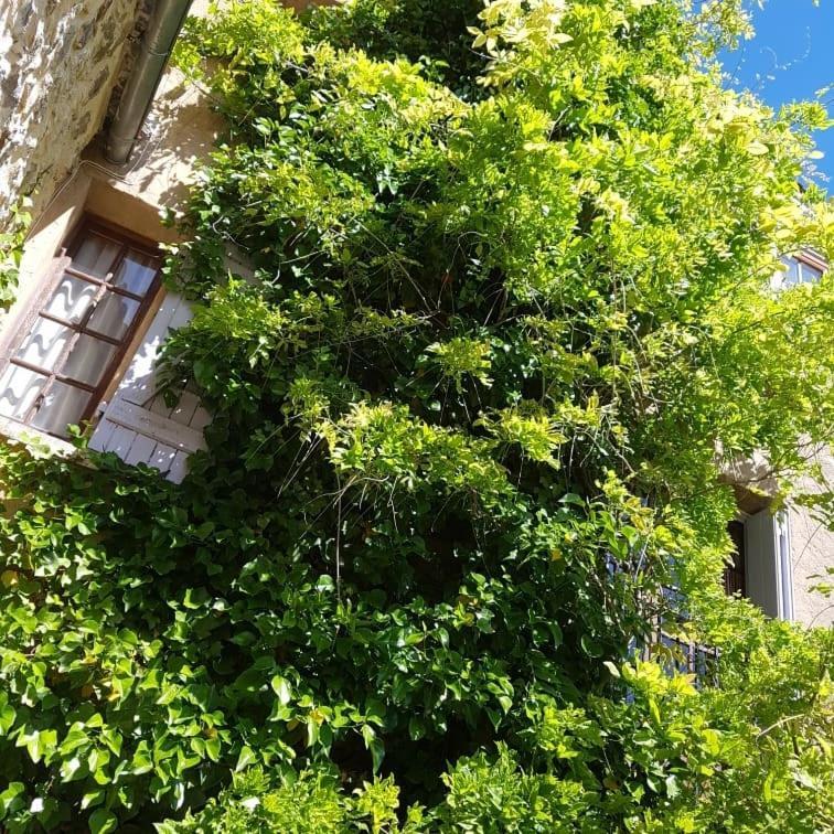 Le Balcon Appartement Camps-sur-l'Agly Buitenkant foto