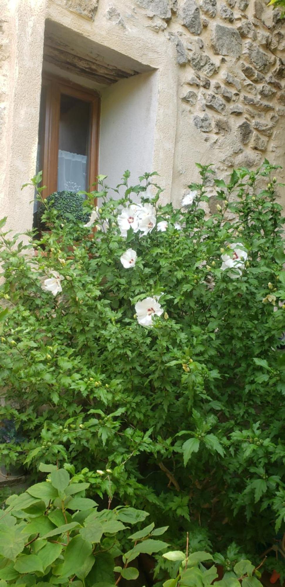 Le Balcon Appartement Camps-sur-l'Agly Buitenkant foto